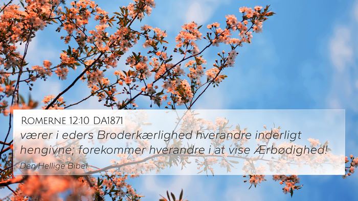 Romerne 12:10 DA1871 Bible Verse Image