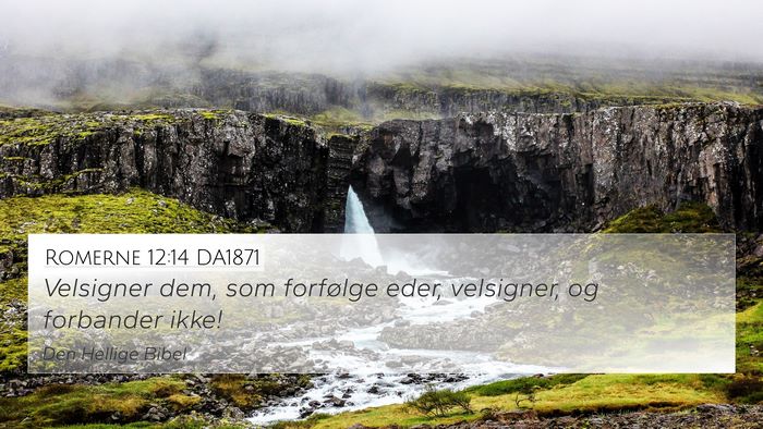 Romerne 12:14 DA1871 Bible Verse Image