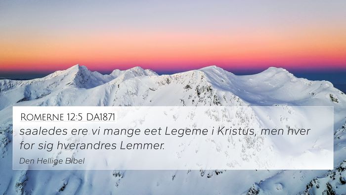 Romerne 12:5 DA1871 Bible Verse Image