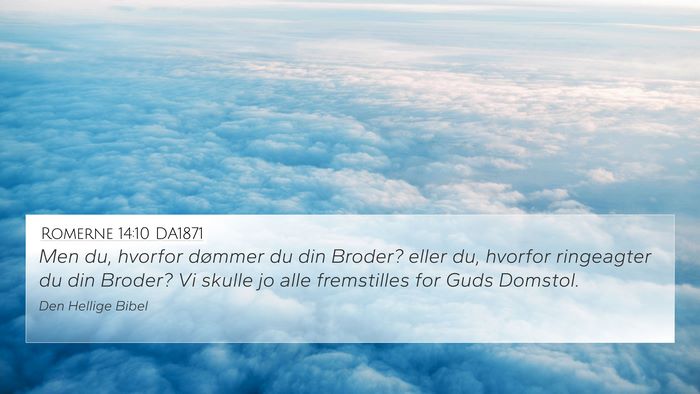 Romerne 14:10 DA1871 Bible Verse Image