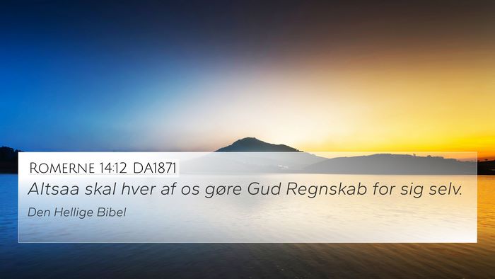 Romerne 14:12 DA1871 Bible Verse Image