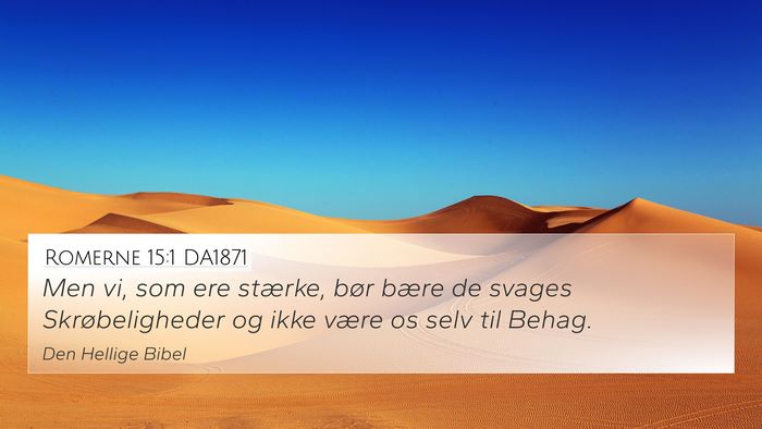Romerne 15:1 DA1871 Bible Verse Image