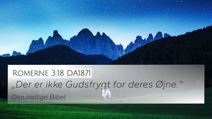 Romerne 3:18 DA1871 Bible Verse Image