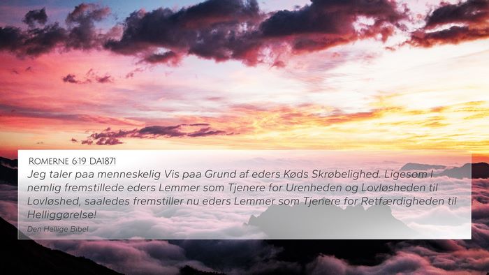 Romerne 6:19 DA1871 Bible Verse Image