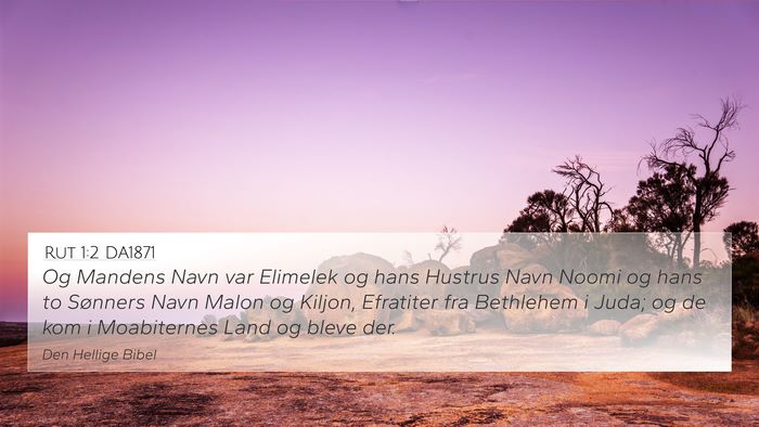 Rut 1:2 DA1871 Bible Verse Image