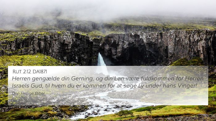 Rut 2:12 DA1871 Bible Verse Image