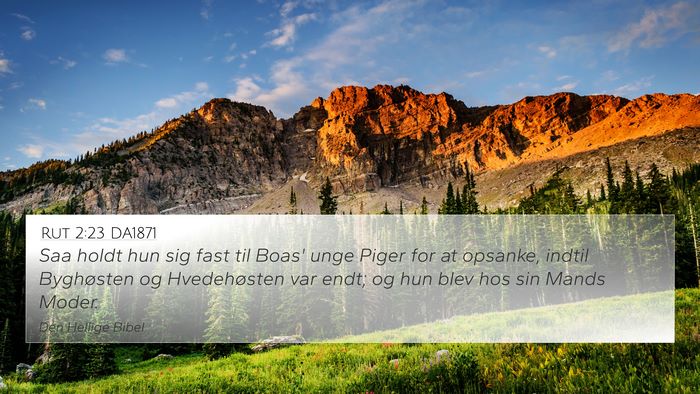 Rut 2:23 DA1871 4K Wallpaper - Saa holdt hun sig fast til Boas' unge Piger for - 4K Wallpaper Bible Verse
