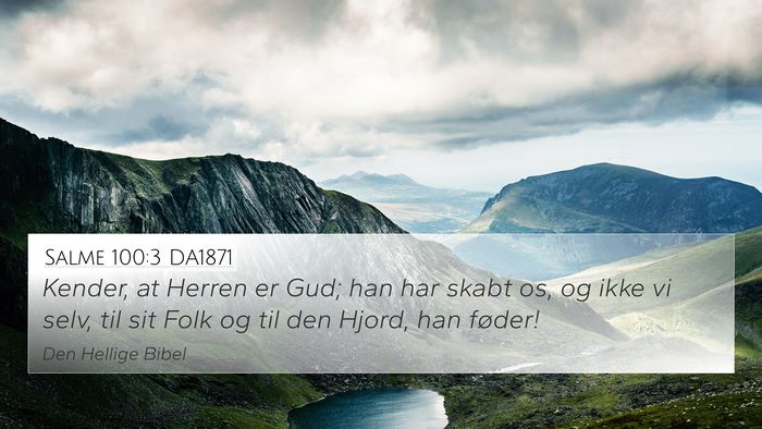 Salme 100:3 DA1871 Bible Verse Image