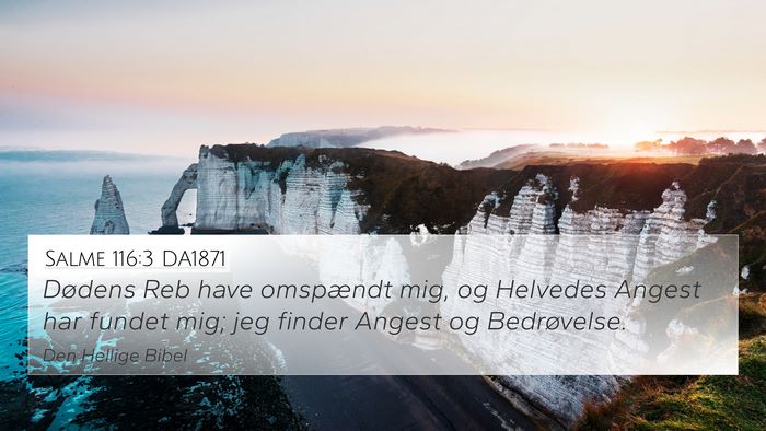 Salme 116:3 DA1871 Bible Verse Image