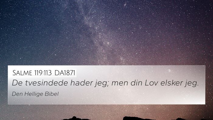 Salme 119:113 DA1871 Bible Verse Image
