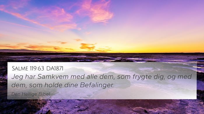 Salme 119:63 DA1871 Bible Verse Image