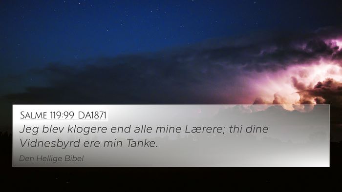 Salme 119:99 DA1871 Bible Verse Image