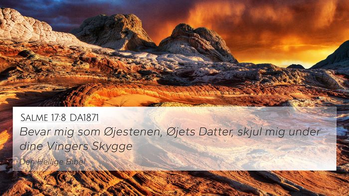Salme 17:8 DA1871 Bible Verse Image