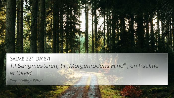 Salme 22:1 DA1871 Bible Verse Image