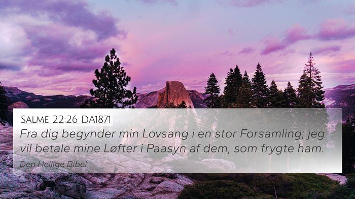 Salme 22:26 DA1871 Bible Verse Image