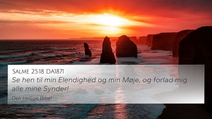 Salme 25:18 DA1871 Bible Verse Image