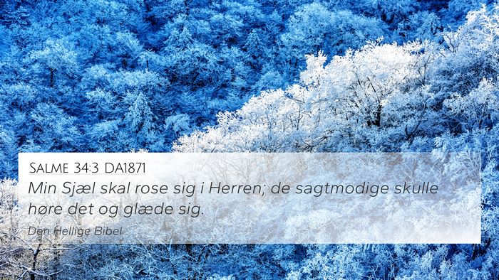 Salme 34:3 DA1871 Bible Verse Image