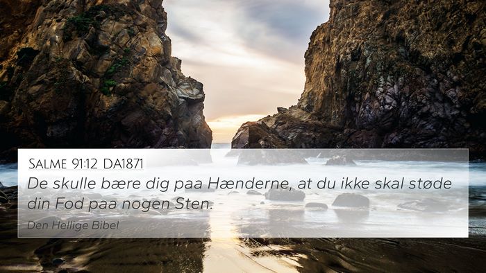 Salme 91:12 DA1871 Bible Verse Image