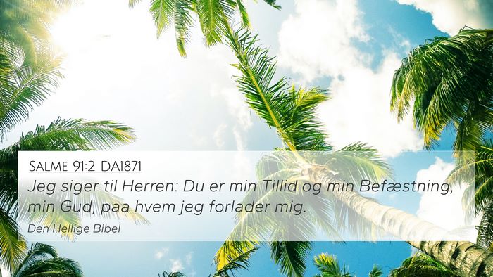 Salme 91:2 DA1871 Bible Verse Image