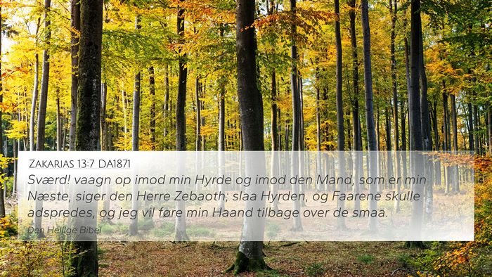 Zakarias 13:7 DA1871 Bible Verse Image