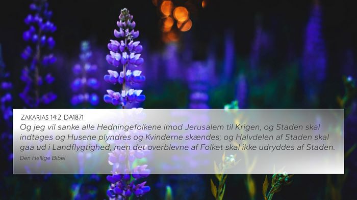 Zakarias 14:2 DA1871 Bible Verse Image