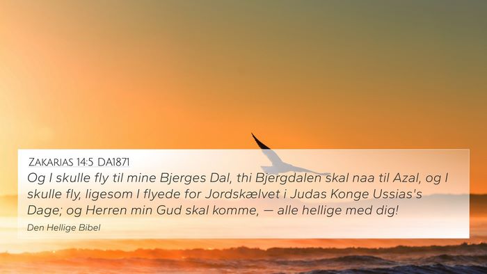 Zakarias 14:5 DA1871 Bible Verse Image