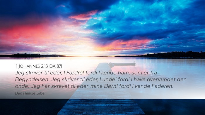 1 Johannes 2:13 DA1871 Bible Verse Image