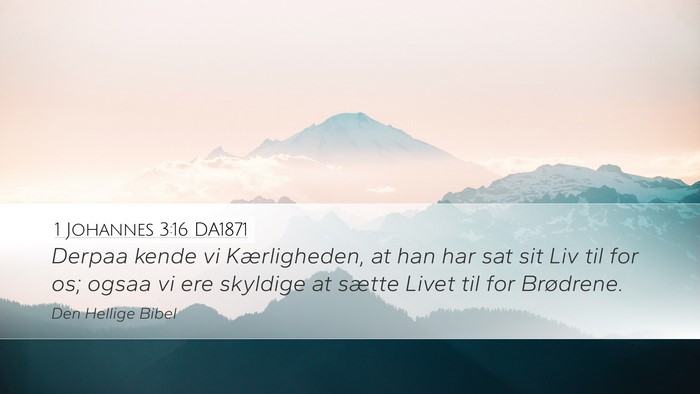 1 Johannes 3:16 DA1871 Bible Verse Image