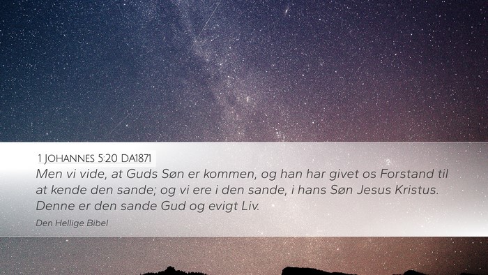 1 Johannes 5:20 DA1871 Bible Verse Image