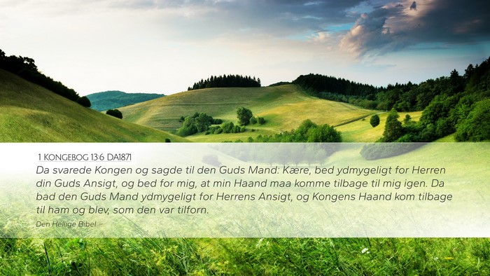 1 Kongebog 13:6 DA1871 Bible Verse Image