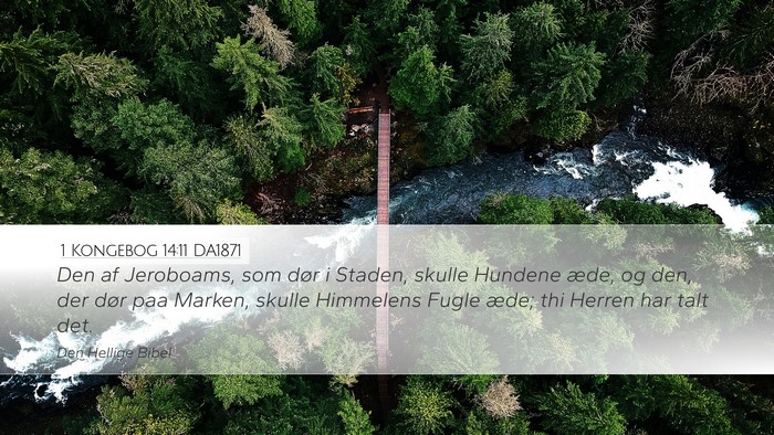 1 Kongebog 14:11 DA1871 Desktop Wallpaper - Den af Jeroboams, som dør i Staden, skulle - Desktop Bible Verse Wallpaper