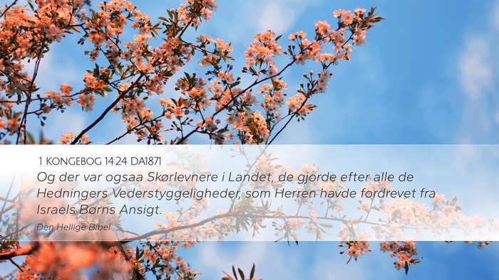 1 Kongebog 14:24 DA1871 Bible Verse Image