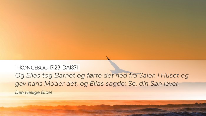 1 Kongebog 17:23 DA1871 Bible Verse Image