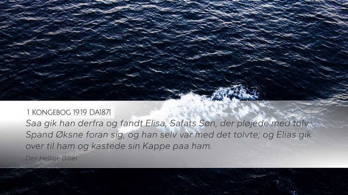 1 Kongebog 19:19 DA1871 Bible Verse Image