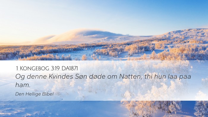 1 Kongebog 3:19 DA1871 Desktop Wallpaper - Og denne Kvindes Søn døde om Natten, thi hun - Desktop Bible Verse Wallpaper