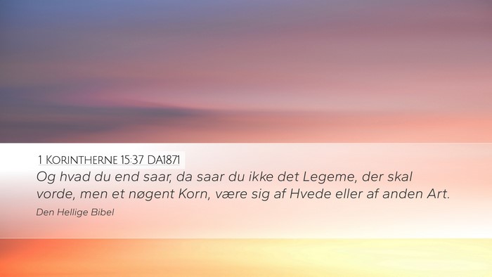 1 Korintherne 15:37 DA1871 Bible Verse Image