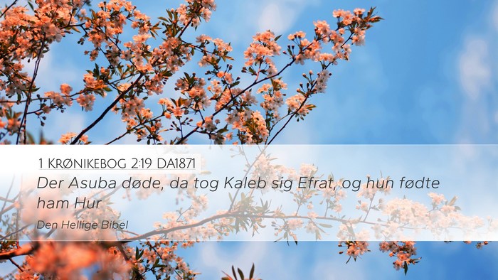 1 Krønikebog 2:19 DA1871 Bible Verse Image
