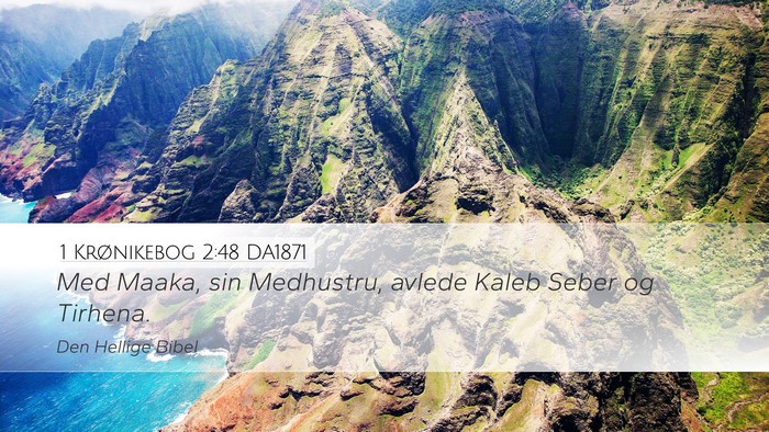 1 Krønikebog 2:48 DA1871 Desktop Wallpaper - Med Maaka, sin Medhustru, avlede Kaleb Seber og - Desktop Bible Verse Wallpaper