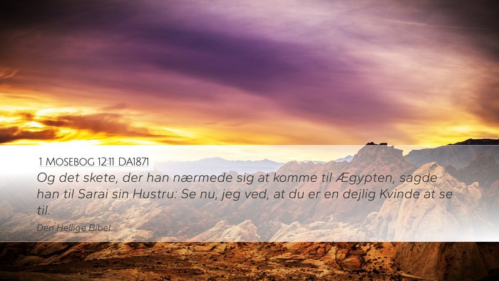 1 Mosebog 12:11 DA1871 Bible Verse Image