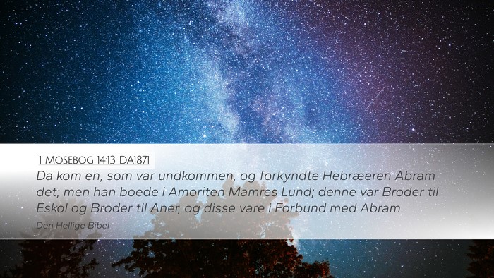 1 Mosebog 14:13 DA1871 Bible Verse Image