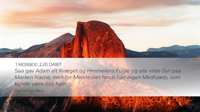 1 Mosebog 2:20 DA1871 Bible Verse Image