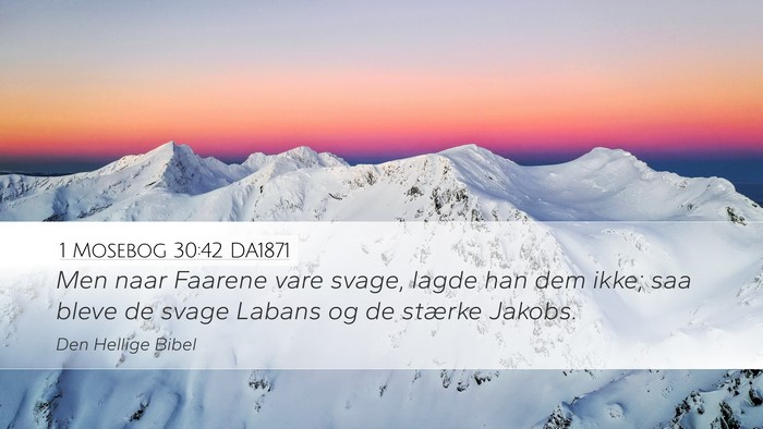 1 Mosebog 30:42 DA1871 Desktop Wallpaper - Men naar Faarene vare svage, lagde han dem ikke; - Desktop Bible Verse Wallpaper