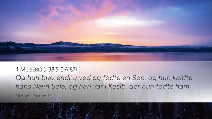1 Mosebog 38:5 DA1871 Bible Verse Image