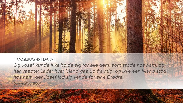 1 Mosebog 45:1 DA1871 Desktop Wallpaper - Og Josef kunde ikke holde sig for alle dem, som - Desktop Bible Verse Wallpaper