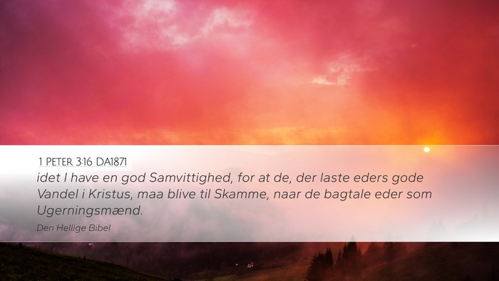 1 Peter 3:16 DA1871 Bible Verse Image