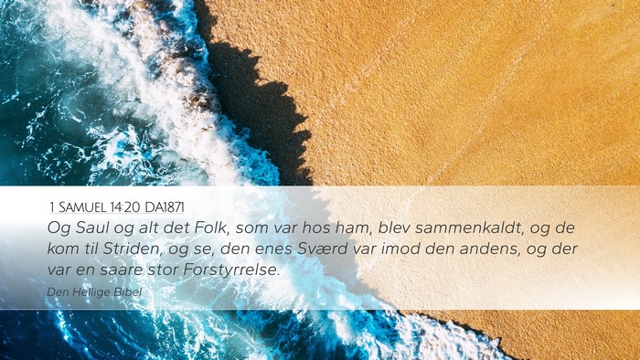 1 Samuel 14:20 DA1871 Bible Verse Image