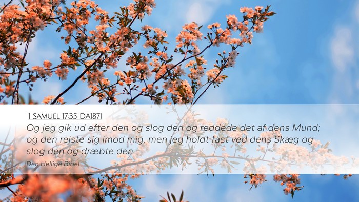1 Samuel 17:35 DA1871 Desktop Wallpaper - Og jeg gik ud efter den og slog den og reddede - Desktop Bible Verse Wallpaper