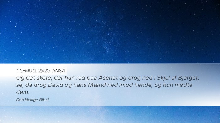 1 Samuel 25:20 DA1871 Desktop Wallpaper - Og det skete, der hun red paa Asenet og drog ned - Desktop Bible Verse Wallpaper