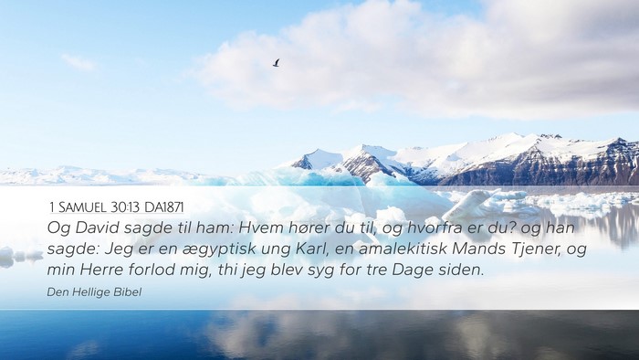 1 Samuel 30:13 DA1871 Bible Verse Image