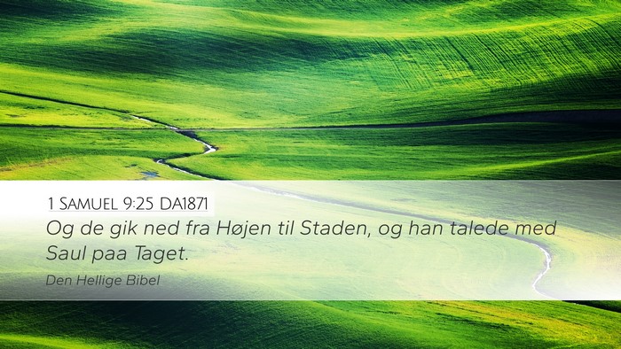 1 Samuel 9:25 DA1871 Desktop Wallpaper - Og de gik ned fra Højen til Staden, og han - Desktop Bible Verse Wallpaper